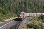 empty auto rack train westbound at Norden